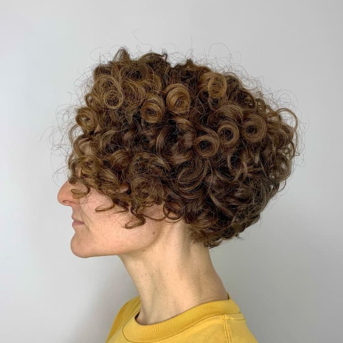 Brown Short Bob With Lighter Highlights Brown Short Bob With Lighter Highlights — Tight Curly Hairstyles 2027