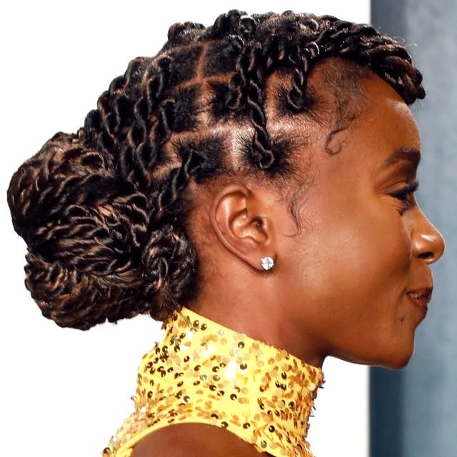 Intricate Twisted Updo With Highlights — Twists Crochet Braids 2027