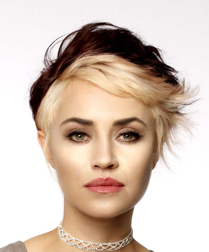 Pixie Dark Brown And Platinum Blonde Split Pixie Dark Brown And Platinum Blonde Split — Two Tone Hair 2027