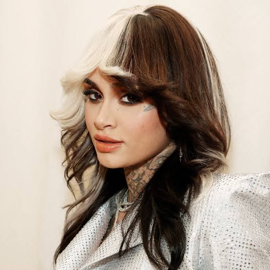 Mid-Back Layers With Blonde Money Pieces Mid-Back Layers With Blonde Money Pieces — Two Tone Hair 2027
