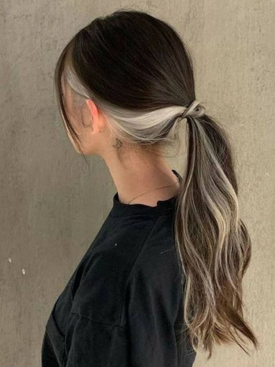 Mid-Back Ponytail With Two-Tone Highlights Mid-Back Ponytail With Two-Tone Highlights — Two Tone Hair 2027