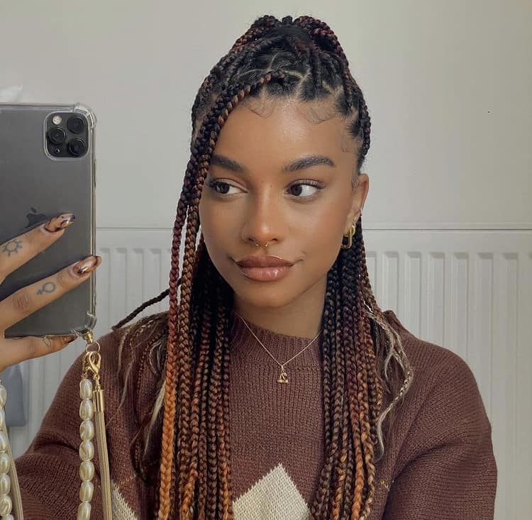 Mid-Back Box Braids Dark Brown With Blonde, Low-Key Version Mid-Back Box Braids Dark Brown With Blonde, Low-Key Version — Two Tone Knotless Braids 2027