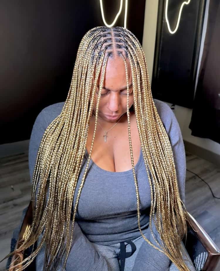 Mid-Back Knotless Braids Blonde And Brown Mixed Tones Mid-Back Knotless Braids Blonde And Brown Mixed Tones — Two Tone Knotless Braids 2027