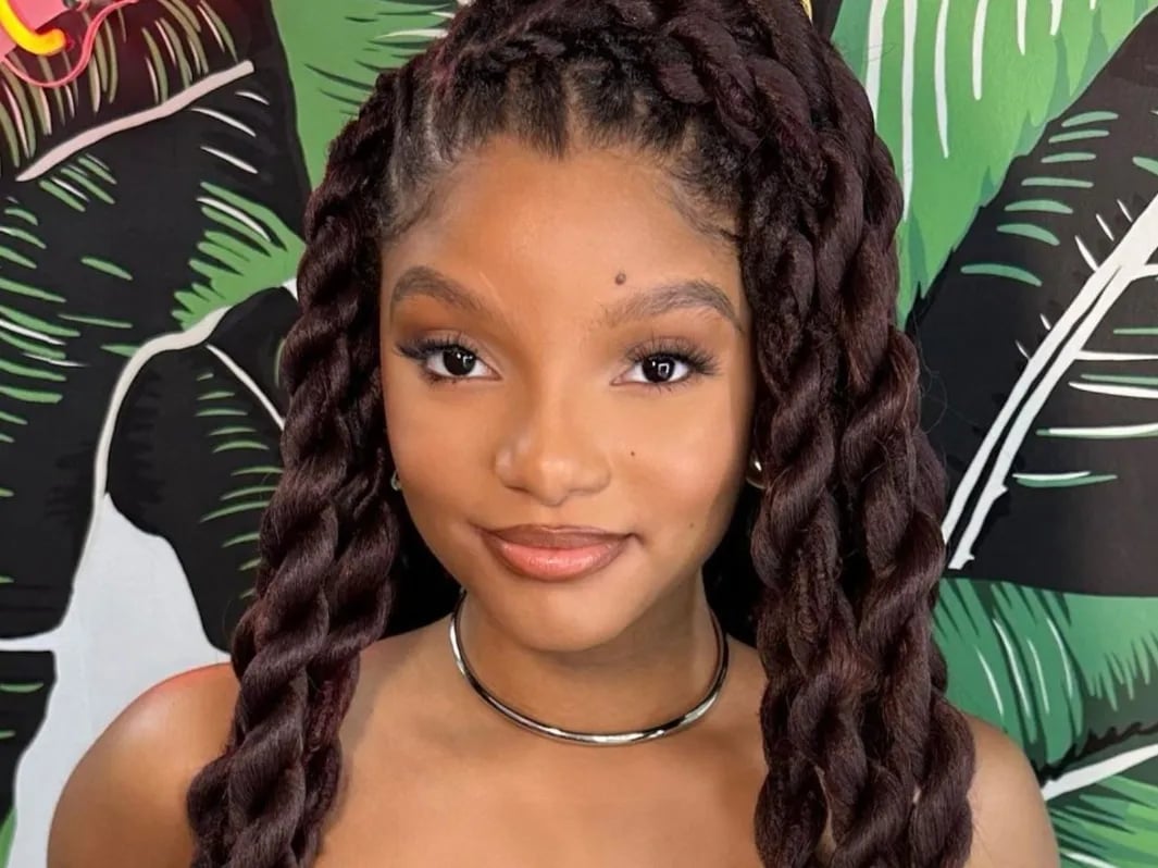 Dark Red Brown Twisted Braids Dark Red Brown Twisted Braids — Vacation Hairstyles 2027 with Weave