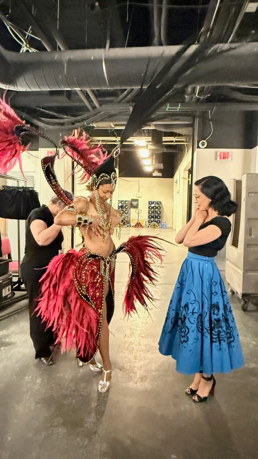 Ornate costume with red feathers and a large necklace Ornate costume with red feathers and a large necklace — Vegas Show Outfits 2027