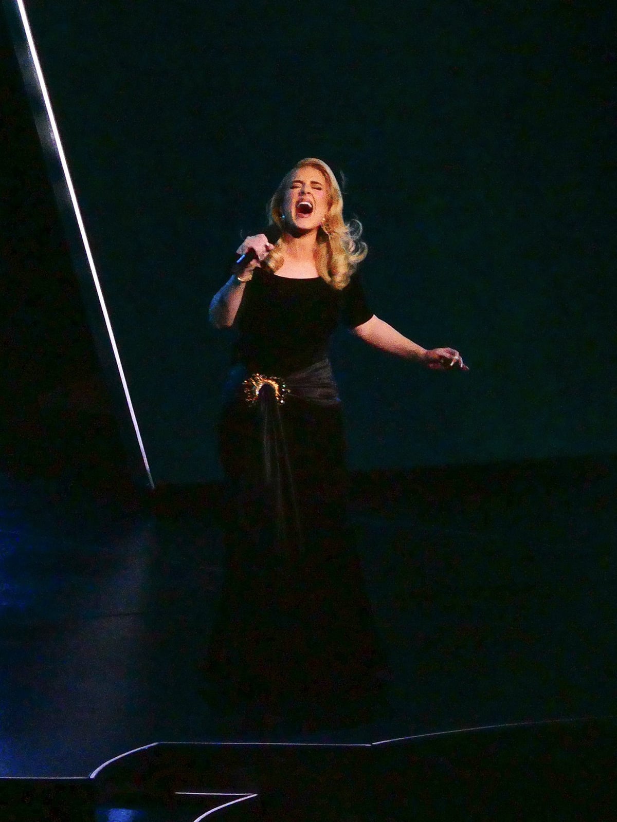 Black crepe evening gown with ornate gold belt Black crepe evening gown with ornate gold belt — Vegas Show Outfits 2027