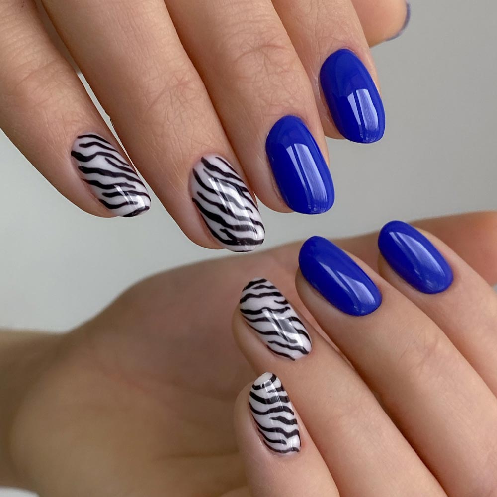 Royal Blue and Zebra Short Oval Nails Royal Blue and Zebra Short Oval Nails — Zebra Nails 2027
